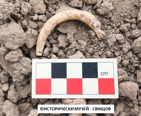 Археолози откриха край Свищов амулет, изобразяващ крокодил