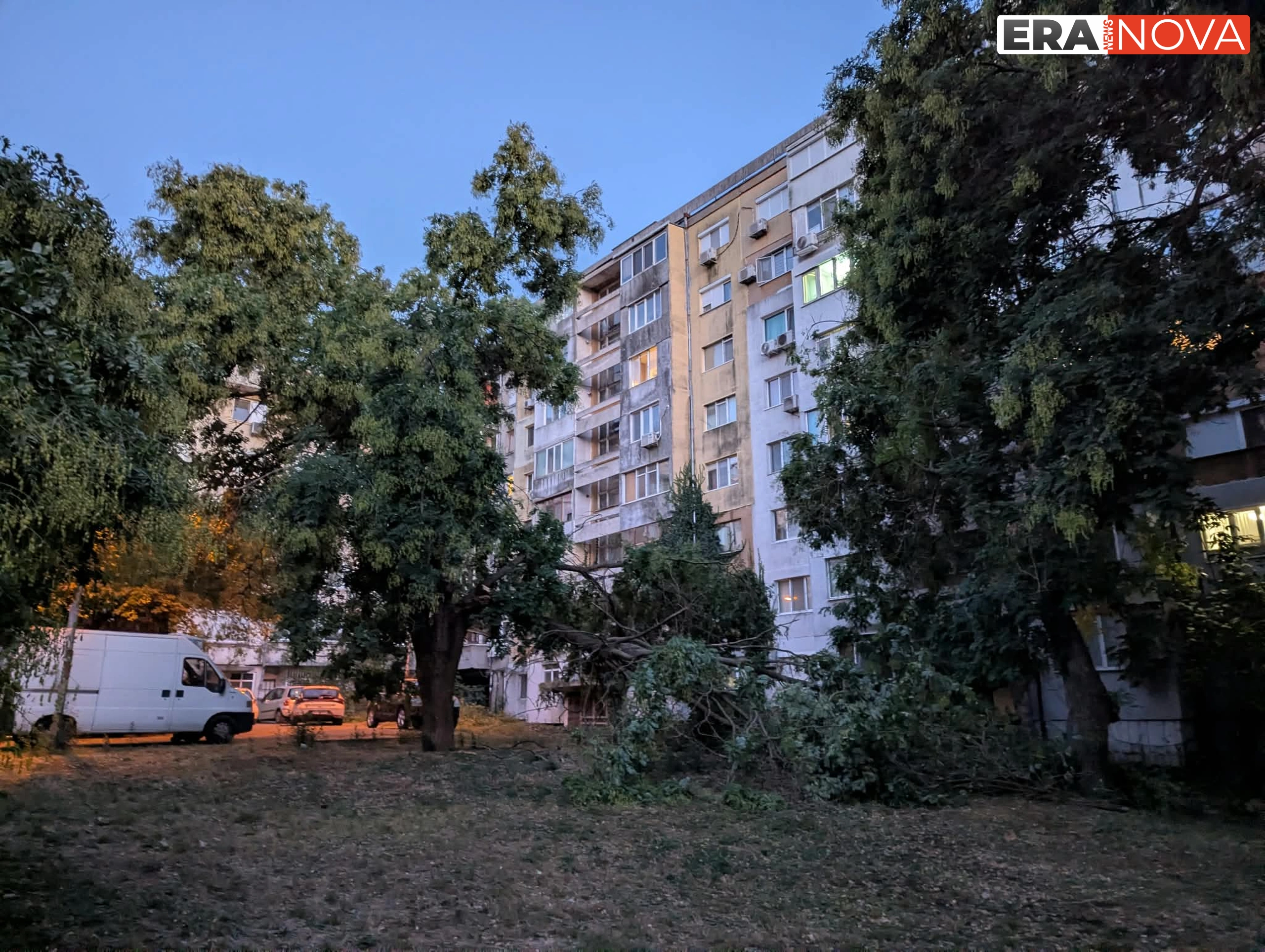 Голямо дърво се разцепи на две в бургаския ж.к. "Братя Миладинови"