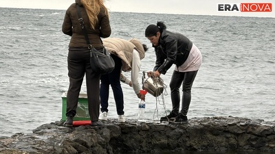 Полевите тестове край Созопол не показват замърсяване на морската вода