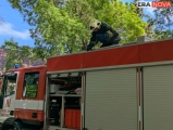 Предстоящо противопожарно учение в района на "Капчето" край Бургас