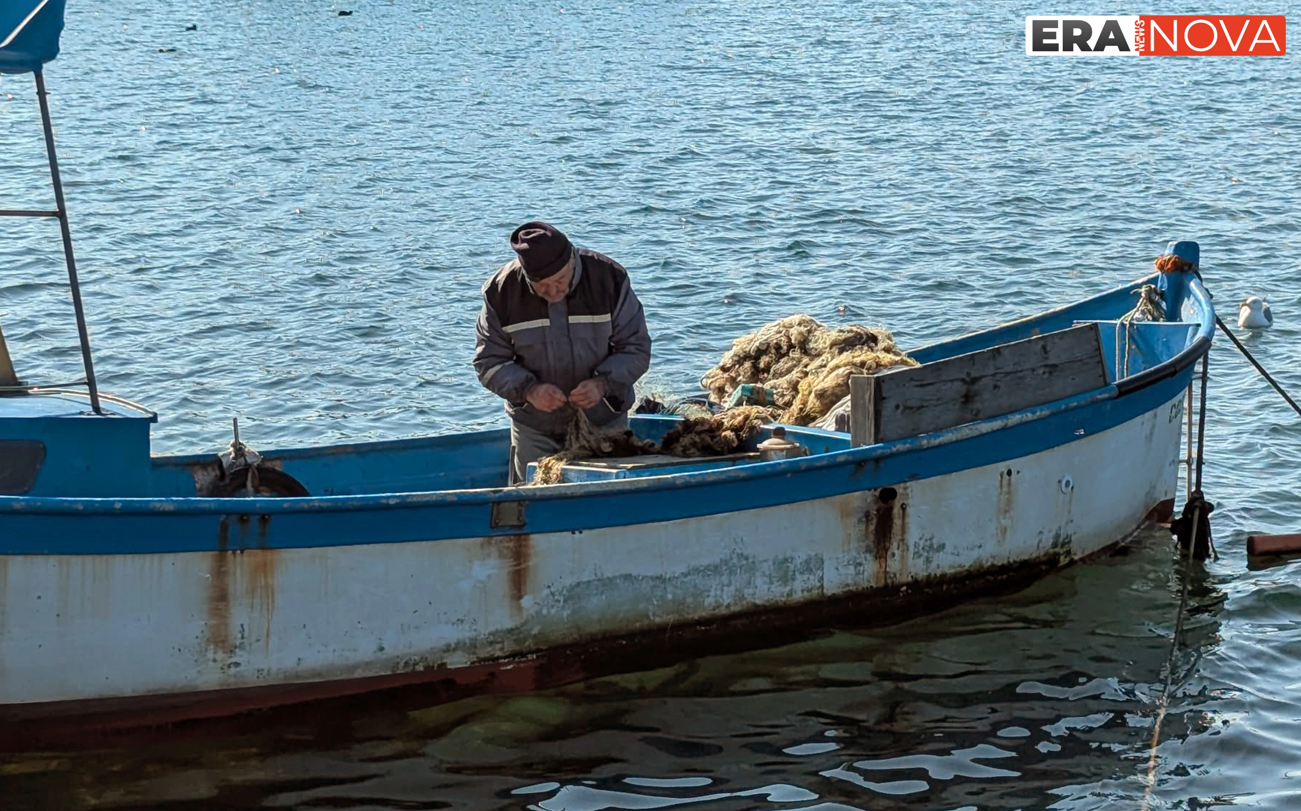 Около половината от риболова в Черно море продължава да е в сивия сектор
